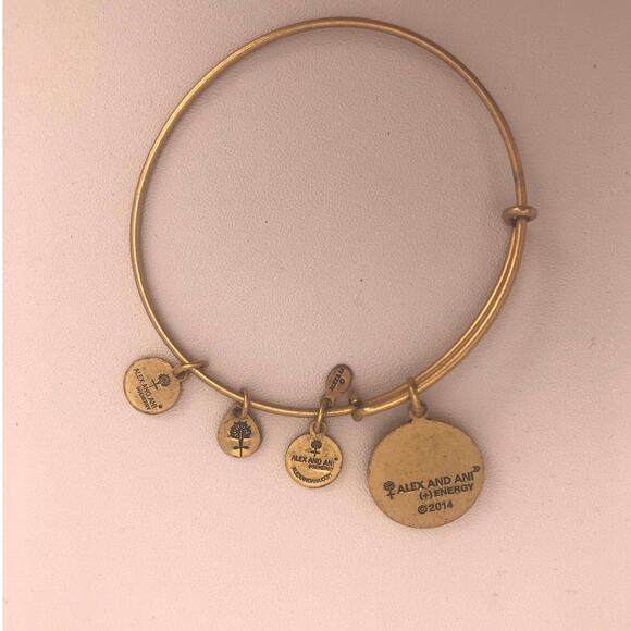 Alex and Ani Sister Bangle - Picture 3 of 3